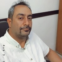 Mostafa Kashefi