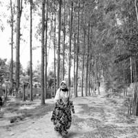 nanda rahmadani