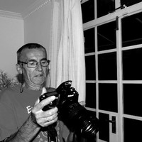 Dragan Dangubic