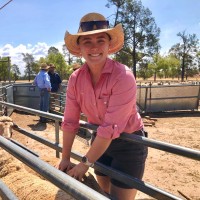 Ivy Longmire