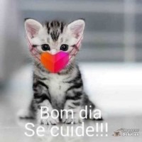 Elenicepereiralopes Lopes