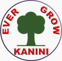 Kanini Technology