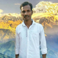 Venkatesh Venkat