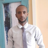 Wondosen Tesfa Asmare