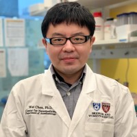 Wei Chen, Ph.D.