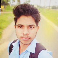 Neelesh Bramhne