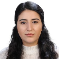 Merve Sonay