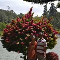 Amutha Arun