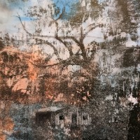 Amy LeFevre