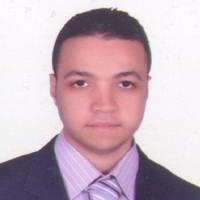 Mohamed Hassan Zein