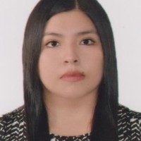 Karin Carrillo Fuertes