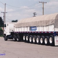 Timothy CDOT