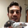 Lacoste Dubois