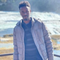 Worku Haylu