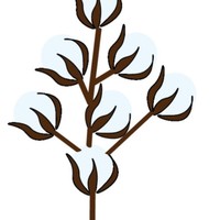 High Cotton's, LLC High Cotton's, LLC