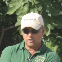 Pedro Carmo Costa