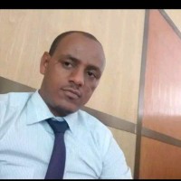 Mulugeta Yihdego
