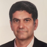 Behzad Adibi