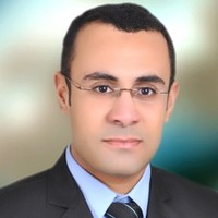 Mohamed Fekry