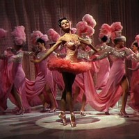 Dita Fan
