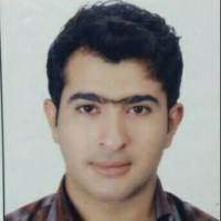Farid Shahin
