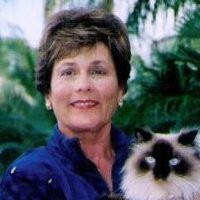 Judy Henry