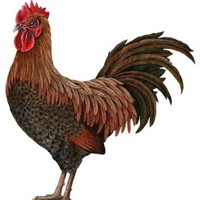 Ron Mexico