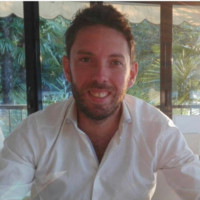 Ronald van de Laar MSc