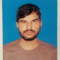Ali Arman