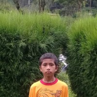 Manish CHAUDHARY
