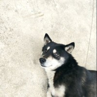 徐杨林