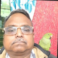 dominique sarkar