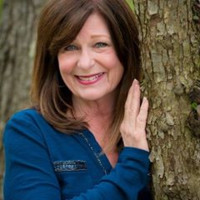 Judi Price