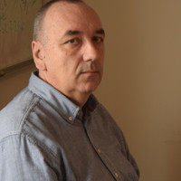 Damir Paladin
