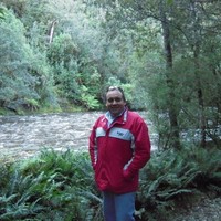 Mick Hogan