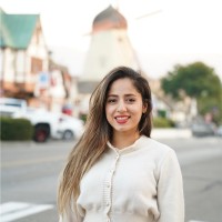 Safa Sadraei