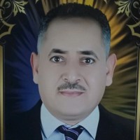 محمد احمد السيد