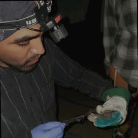 Junior Molina