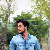 MOHIT RAJ SAMANT