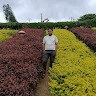 PRAVEEN DEVA