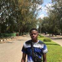 Willfred uche