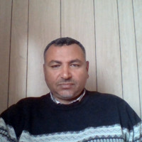 mohamed shark