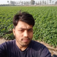Lovya Verma