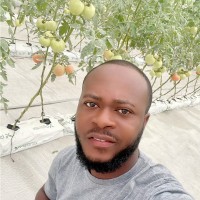 John Etornam Ackumey