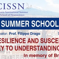 Summer School Catania