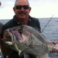 Phil Hart