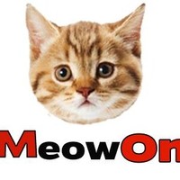 cat's space