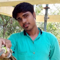 Nagarajan V