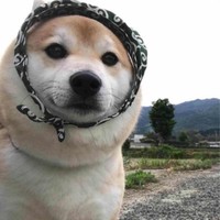 张美燕