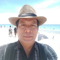 Lubis Hinsa